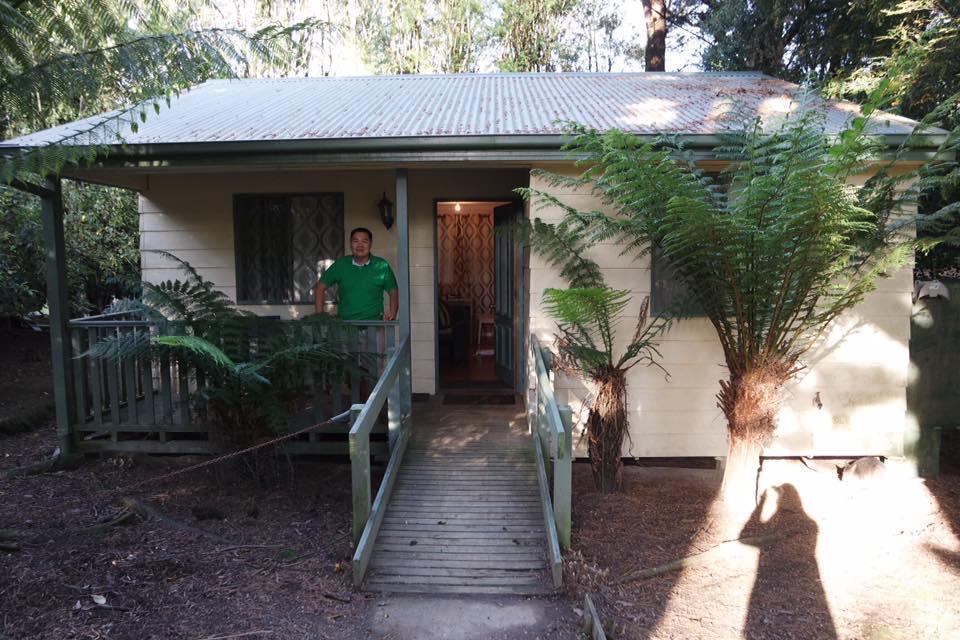 Fauna Australia Wildlife Retreat Lavers Hill Exterior foto